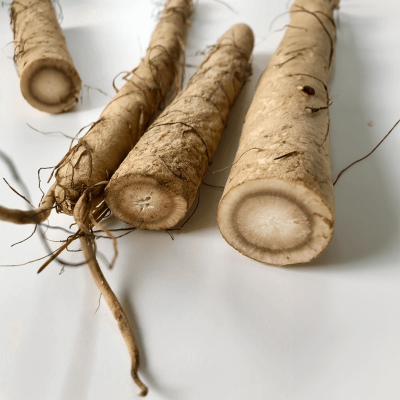 Burdock Root 10:1 plant to make the capsules
