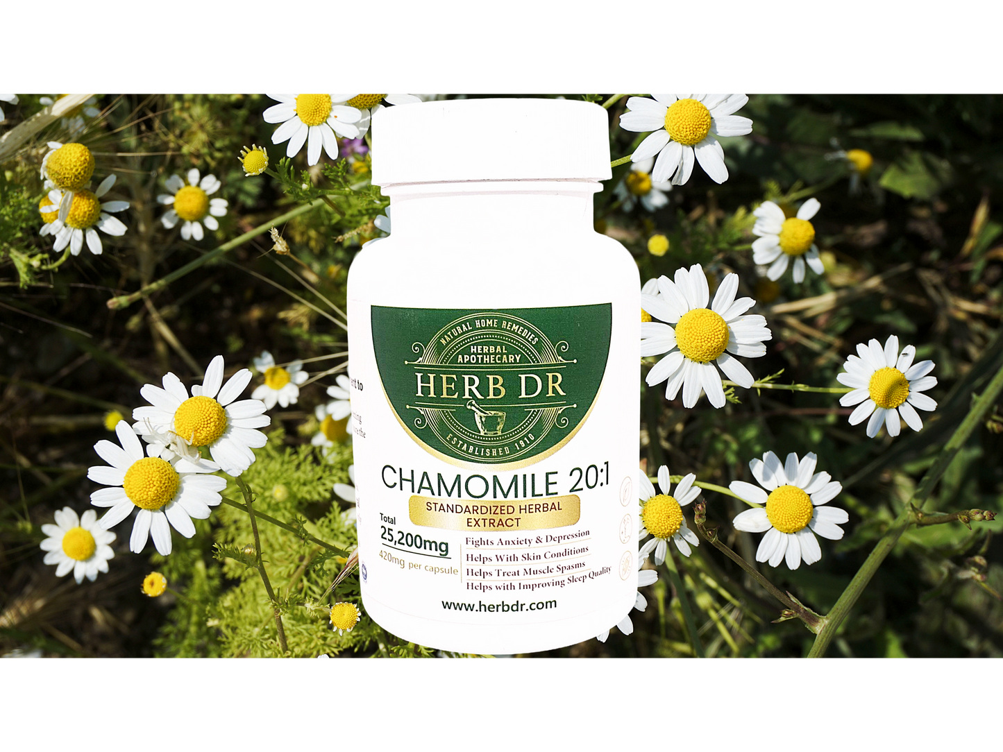Chamomile 20:1 Capsules