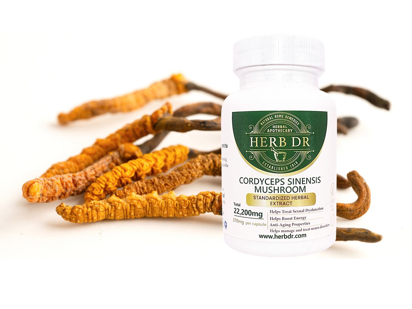 Cordyceps Sinensis Mushroom Capsules