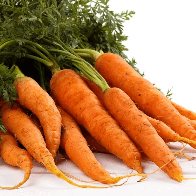 carrots to make Beta Carotene Capsules