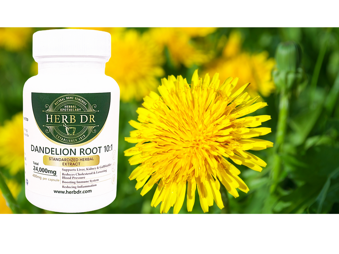 Adaptogenic herbs and botanical roots — science of plant medicine