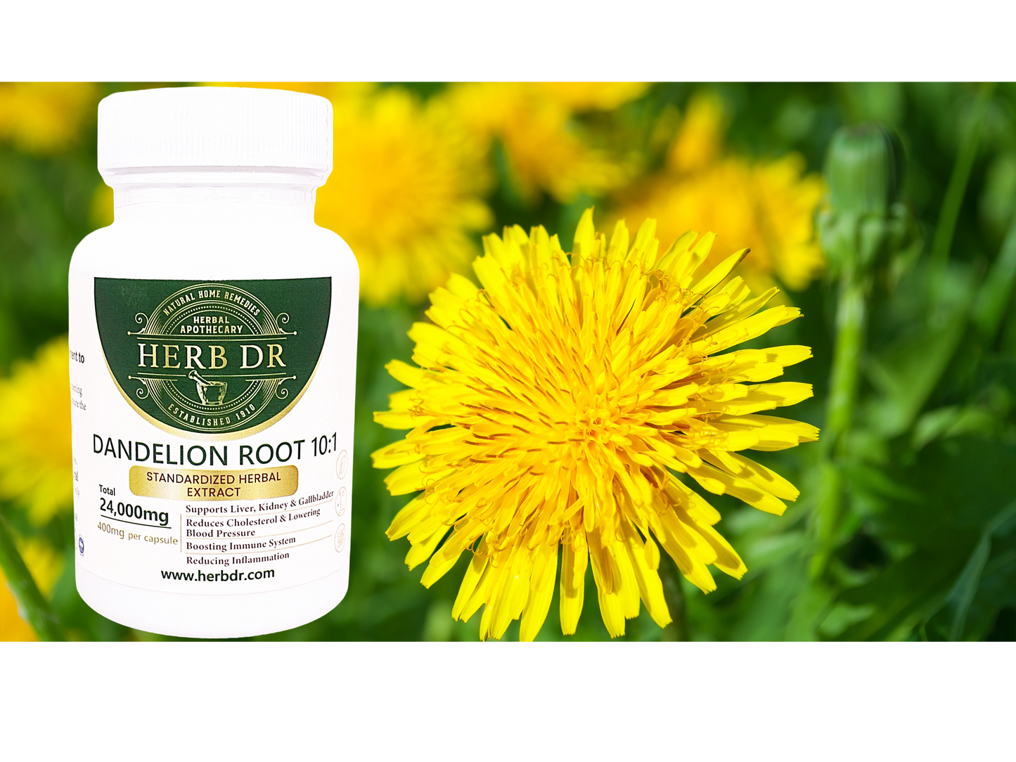 Dandelion Root Capsules