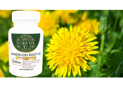 Dandelion Root Capsules