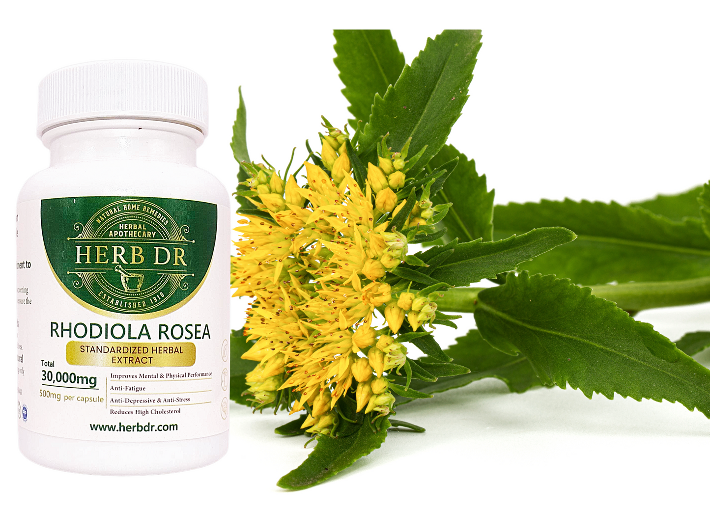 Rhodiola Rosea Capsules