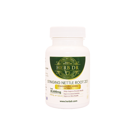 Herb Dr Stinging Nettle Root 20:1 Capsules – Standardized Herbal Extract, 30,600mg Total, Prostate Health, Joint Mobility & Anti-Inflammatory Support